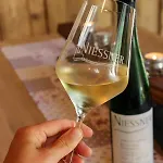 Ferienweingut Niessner Apartman
