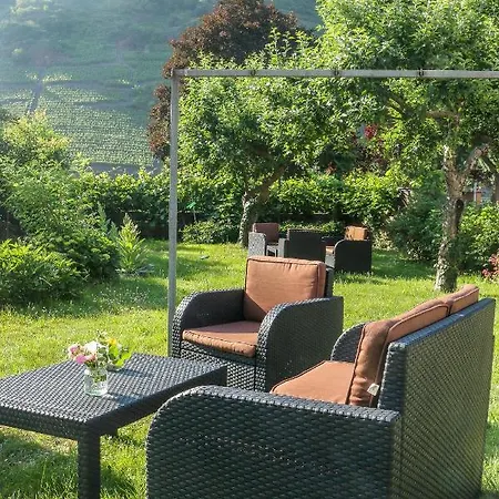 Ferienweingut Niessner Apartment Ernst